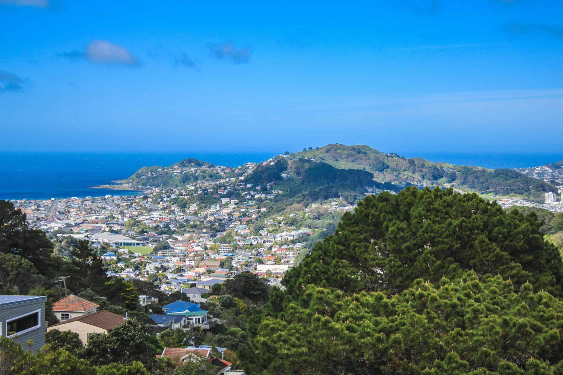 The view over Wellington city and harbour from the Mount Victoria lookout